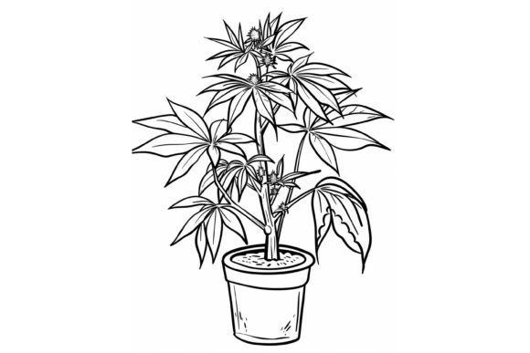 Download Pot Plant Adults Coloring Page - Adults coloring page Collection