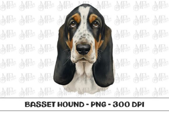 Download Basset Hound Watercolor Portrait PNG - Hound Collection