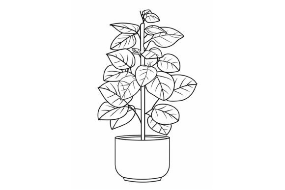 Download Pot Plant Adults Coloring Page - Adults coloring page Collection