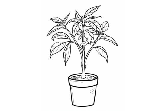Download Pot Plant Adults Coloring Page - Adults coloring page Collection
