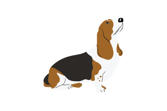Download Sitting Basset Hound - Hound Collection