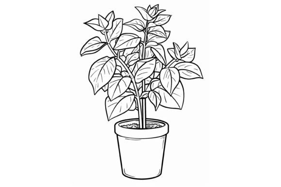 Download Pot Plant Adults Coloring Page - Adults coloring page Collection
